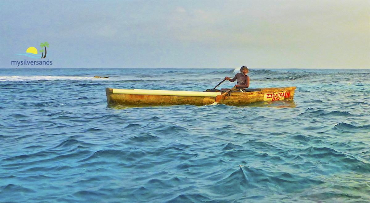 Paddleboarding Encounters at Silver Sands Jamaica